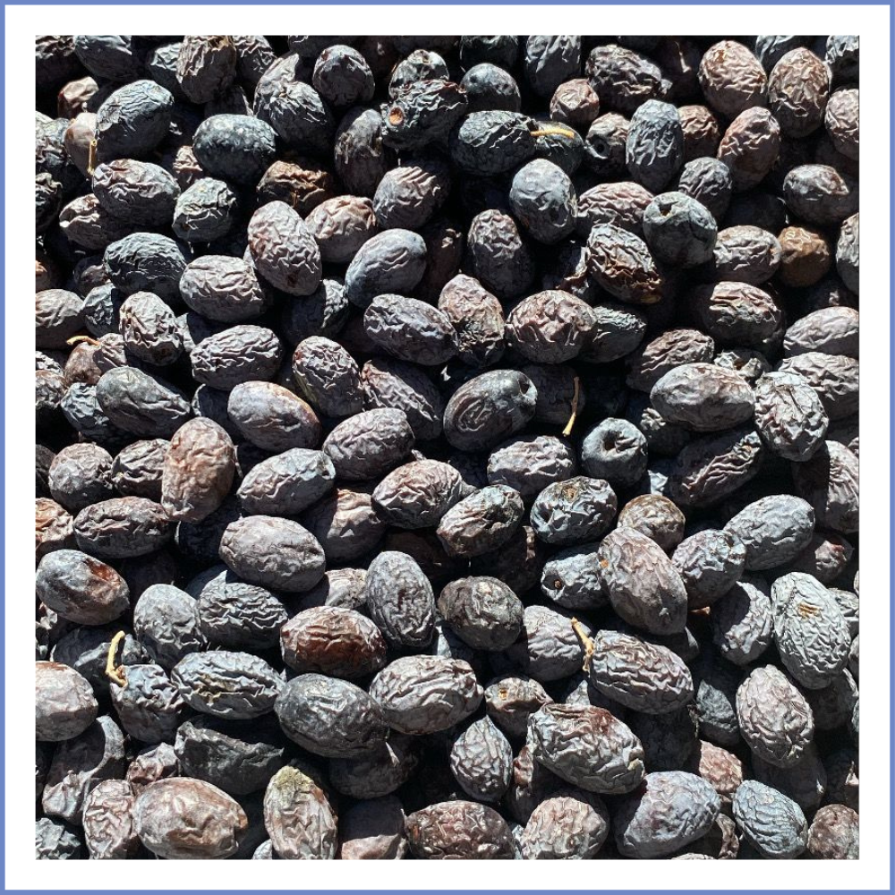 Karaburun Hurma Zeytin