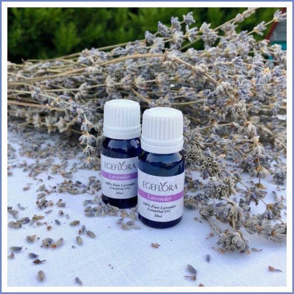 Lavanta Uçucu Yağı (10 ml.)