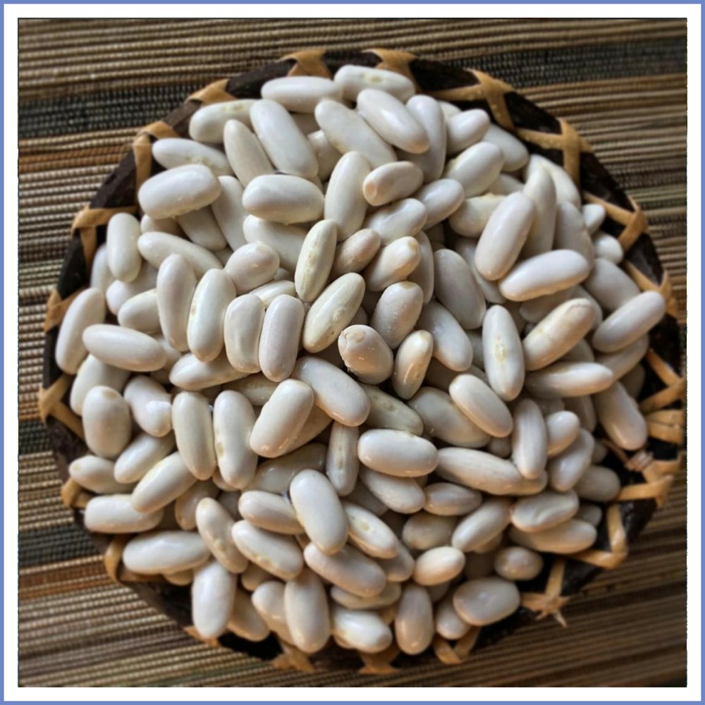 Kuru Fasulye (500 Gr.)