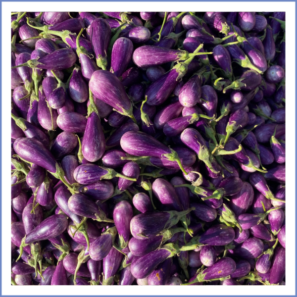 Mini Alacalı Köy Patlıcanı (1000 Gr.) görseli.