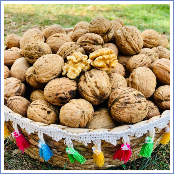 Kabuklu Yerli Ceviz (500 Gr.)