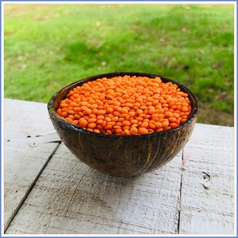 Kırmızı Yaprak Köy Mercimeği (500 Gr.)