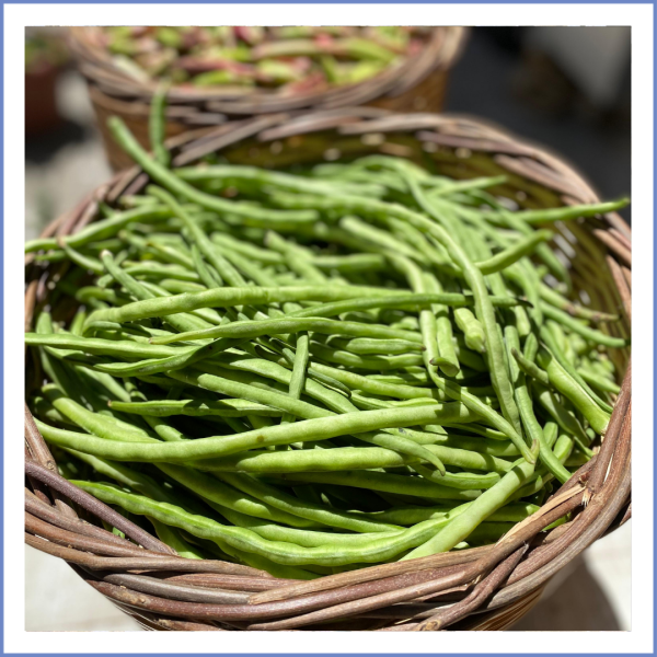Urla Taze Börülce (1000 Gr.)