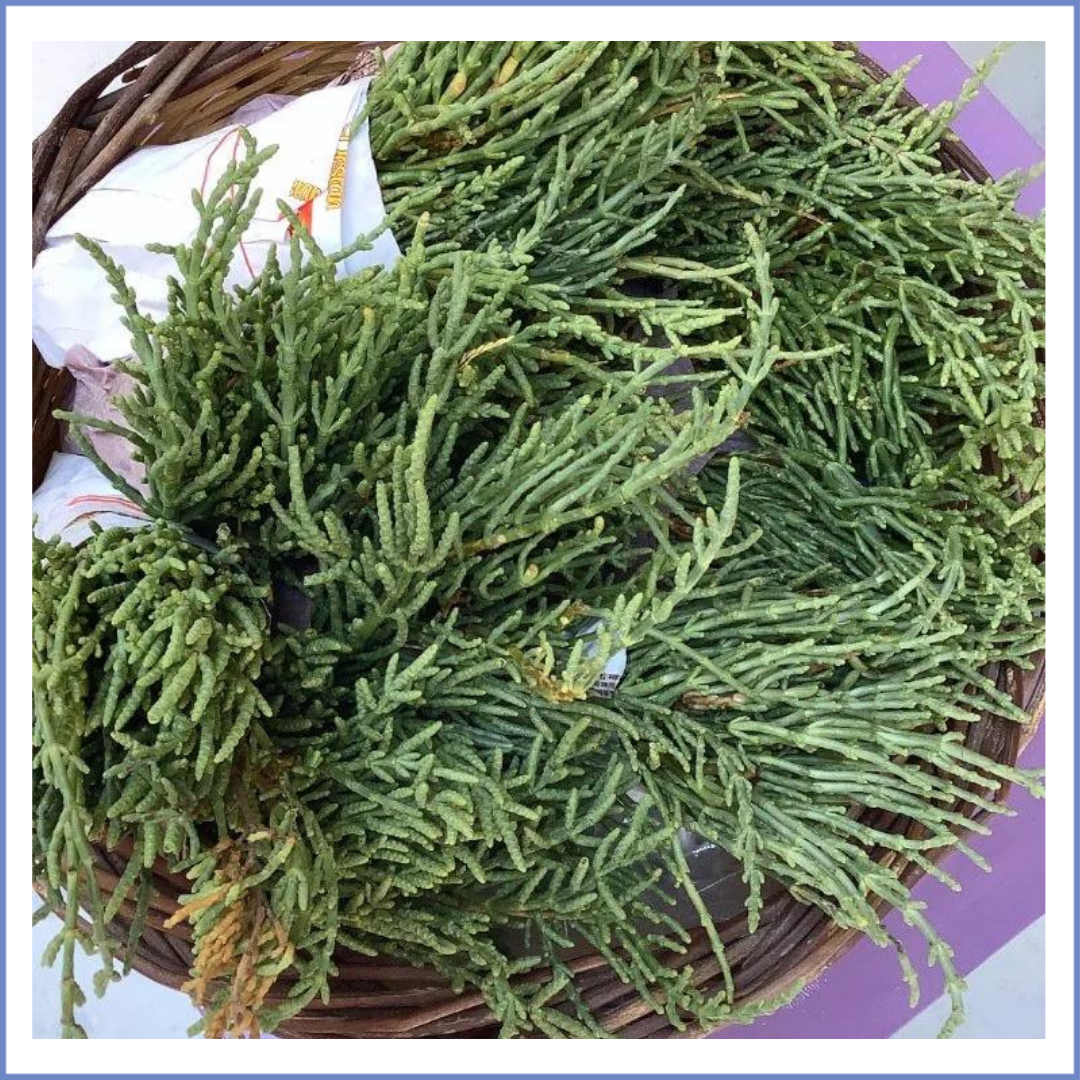 Deniz Börülcesi 1 Demet