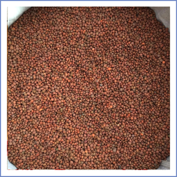 Kabuklu Köy Mercimeği (500 Gr.) görseli.