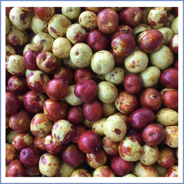 Taze Hünnap (1000 Gr.)