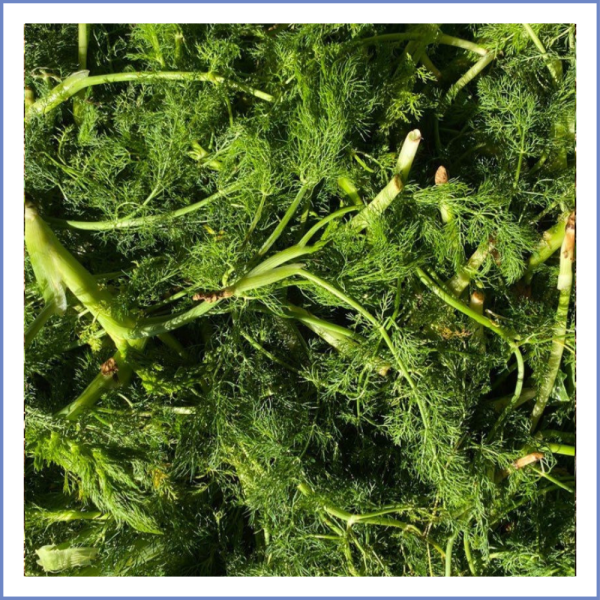 Arapsaçı Otu (1000 Gr.)