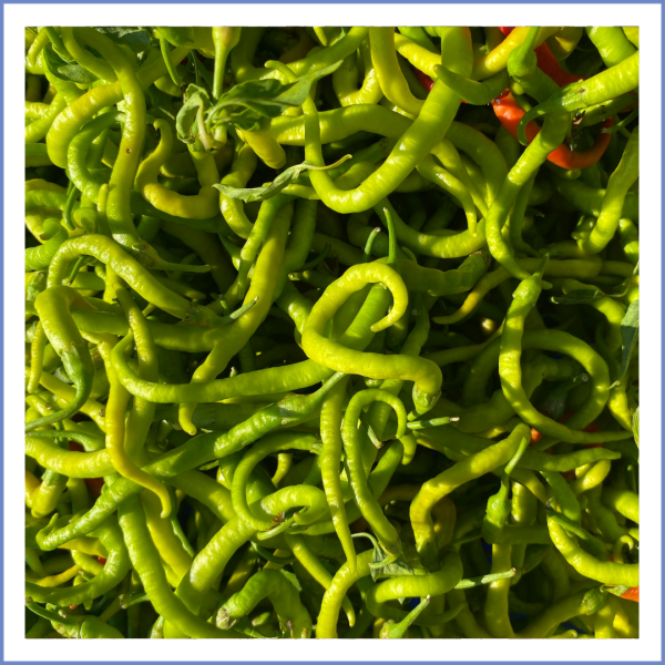 Sivri Kıl Biber (1000 Gr.)