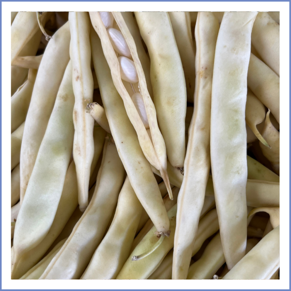 Badalan Fasulye (1000 Gr.)