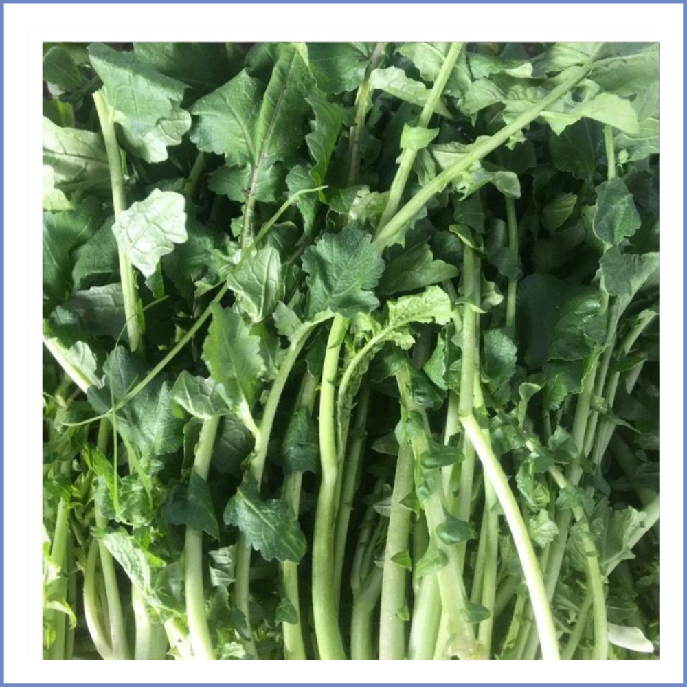 Turp Otu (1000 Gr.)