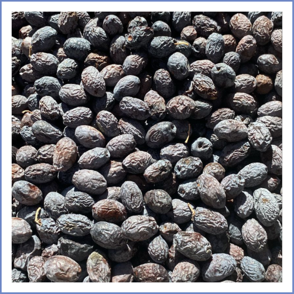 Karaburun Hurma Zeytin (1000 Gr.)