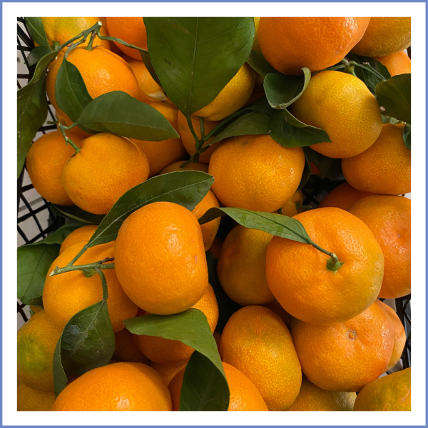 Seferihisar Mandalina (1000 Gr.)