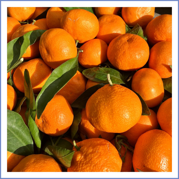 Seferihisar Mandalina (1000 Gr.)