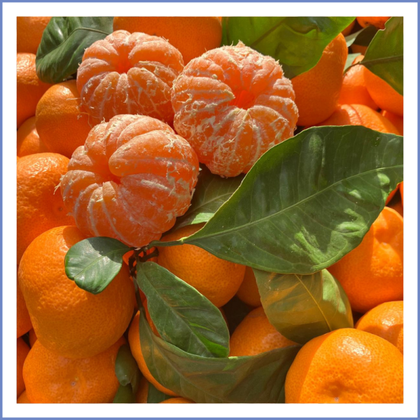 Seferihisar Mandalina (1000 Gr.)