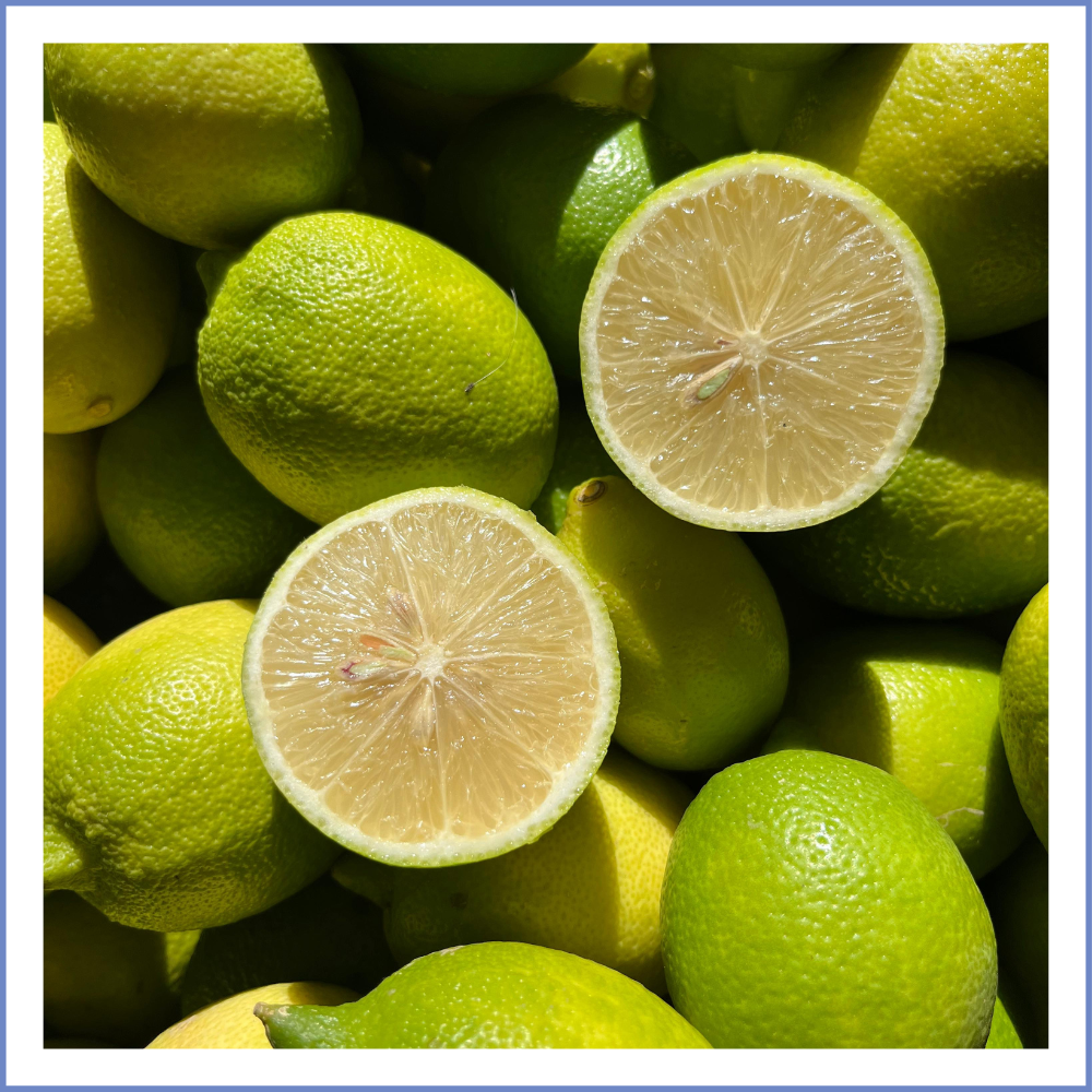 Karaburun Limonu (1000 Gr.)