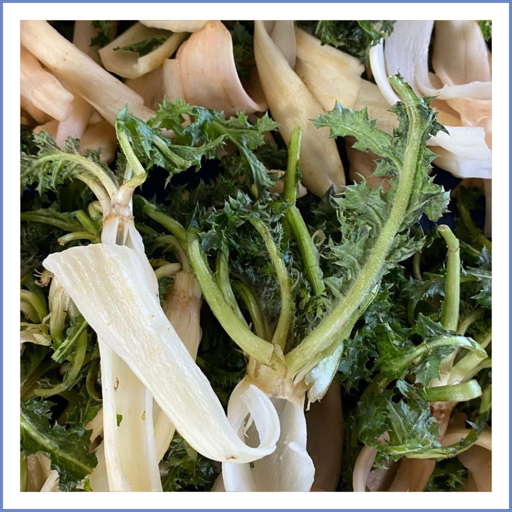 Şevketi Bostan (1000 Gr.)