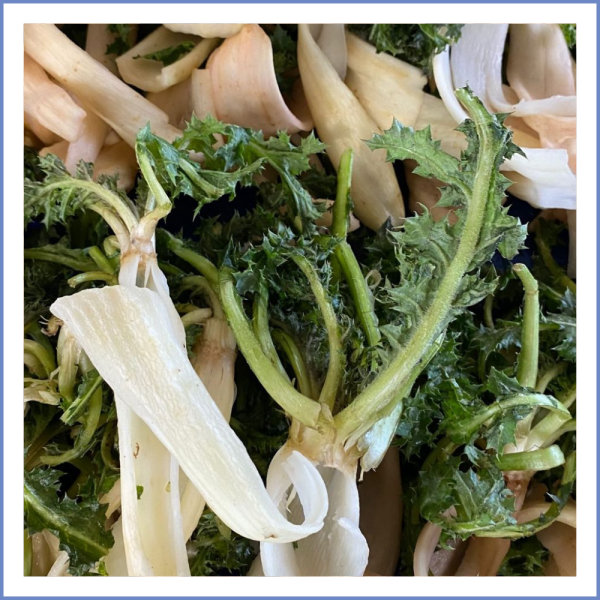 Şevketi Bostan (1000 Gr.)