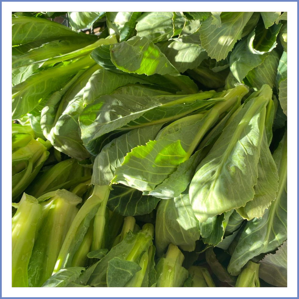 Cibes Otu (1000 Gr.)