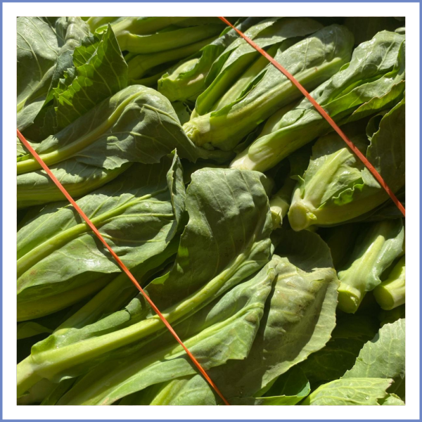 Cibes Otu (1000 Gr.)