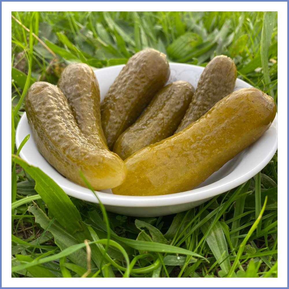 Kornişon Turşu (500 Gr.)