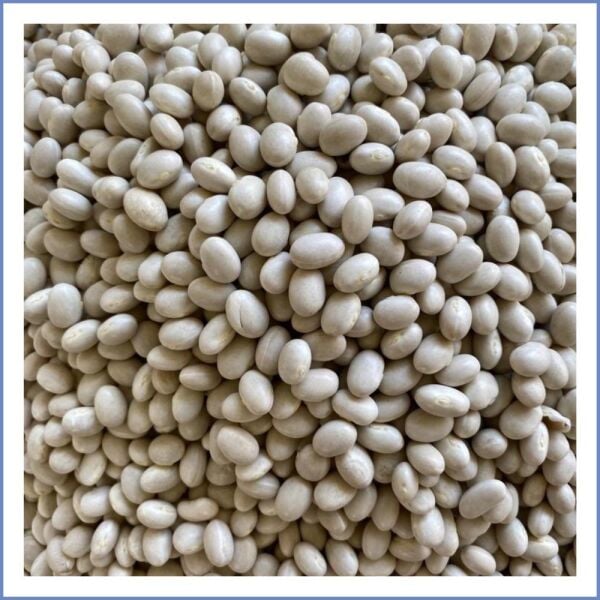 Ödemiş Şeker Fasulye (500 Gr.)