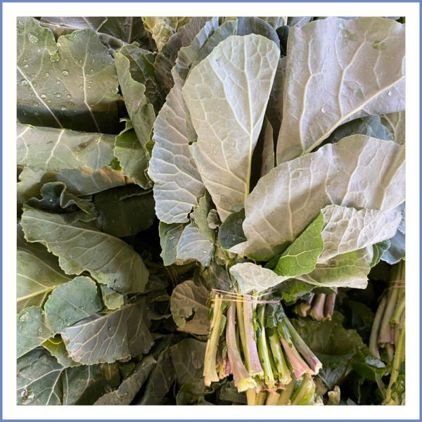 Karalahana  (Pancar) Demet