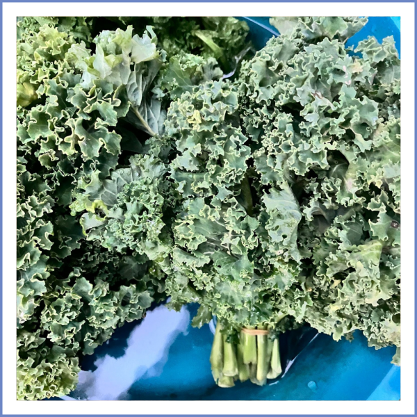 Kale Otu Demet (SİPARİŞ İÇİN MESAJ ATINIZ)