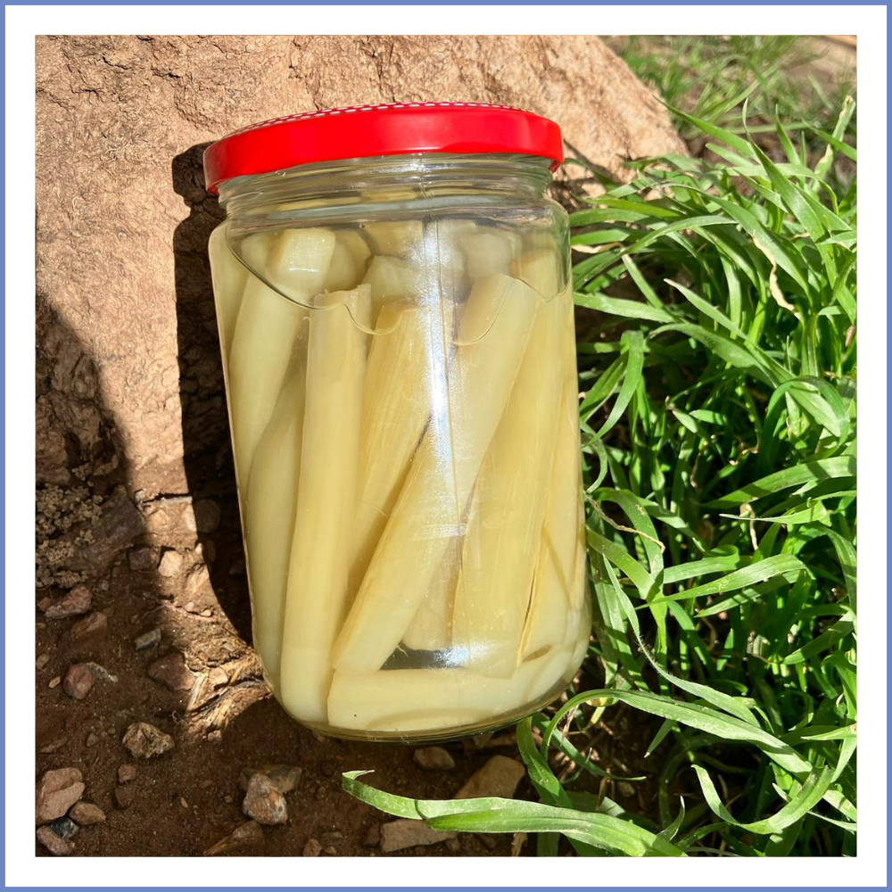 Enginar Sapı Konserve