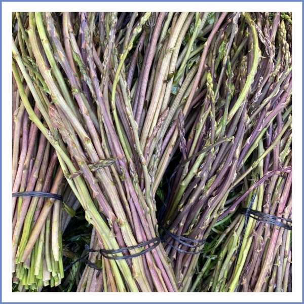 Tilkişen Demet (Yabani Kuşkonmaz)