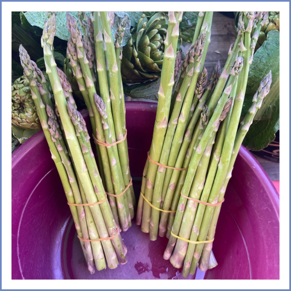 Yerli Kuşkonmaz (250 Gr.)