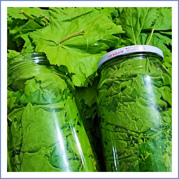 Kuru Basım Asma Yaprağı (500 Gr.)