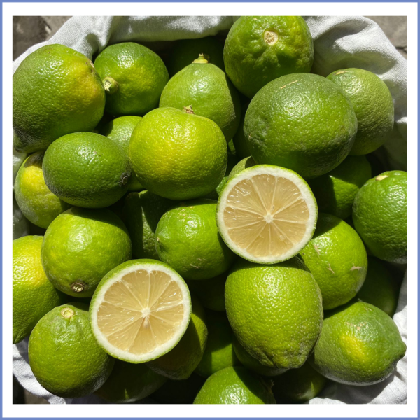 Taze Dal Limon (Karaburun) (500 Gr.)