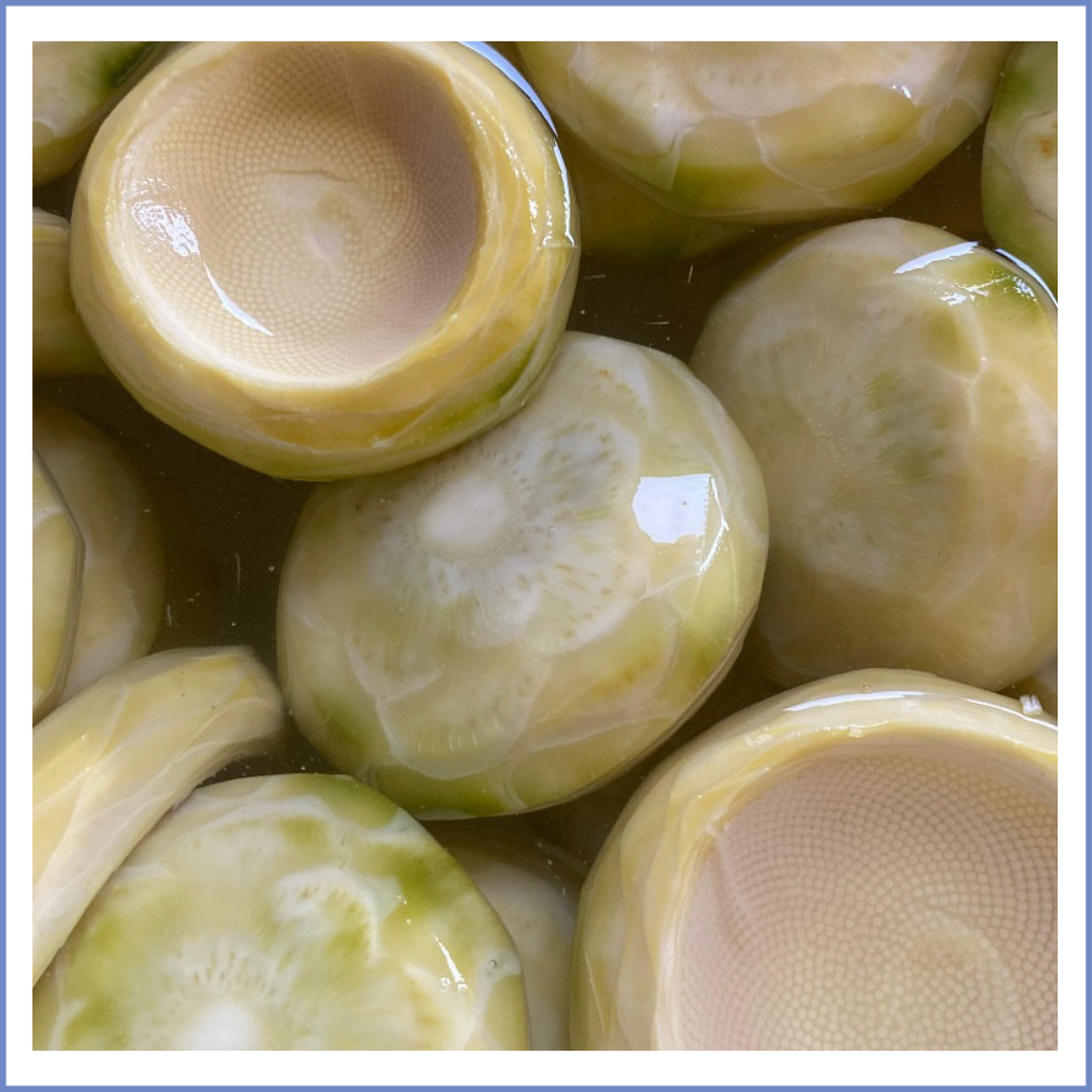 Sakız Çanak Enginar (Vakumlu)