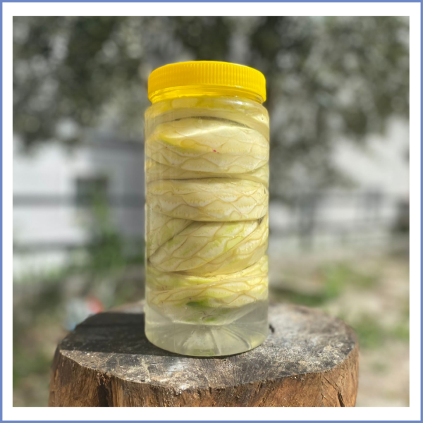 Sakız Çanak Enginar