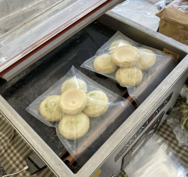 Sakız Çanak Enginar (Vakumlu)