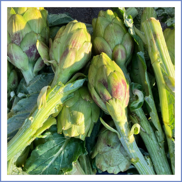 Bebek (Baby) Enginar