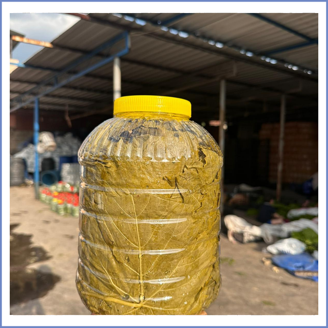 Salamura Asma Yaprak