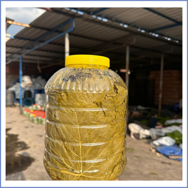 Salamura Asma Yaprak